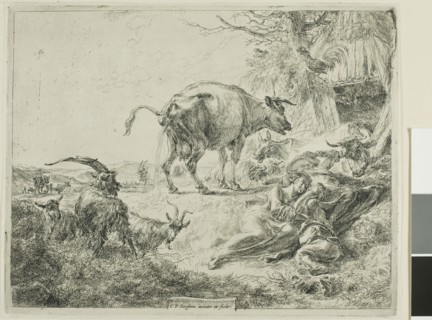 Cow Relieving Itself, 1635/1683, Nicolaes Berchem the Elder, Dutch, 1621/22-1683, Holland, Etching