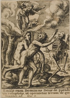 Expulsion from Paradise, 1651, Wenceslaus Hollar (Czech, 1607-1677), after Hans Holbein the younger
