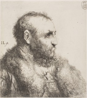Bust of an Old Man, 1635–44, Jan Lievens, Dutch, 1607-1674, Holland, Etching on paper, 160 x 143 mm