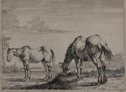 Grazing Horse, plate three from Series of Horses, 1651, Dirck Stoop, Dutch, 1610-1686, Netherlands,