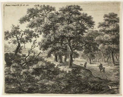 The Group of Four Trees, n.d., Anthoni Waterlo, Dutch, 1609-1690, Holland, Etching on paper, 138 x