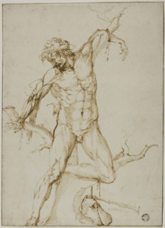 Marsyas Tied to a Tree, c. 1550, Follower of Baccio Bandinelli, Italian, 1493-1560, Florence, Pen