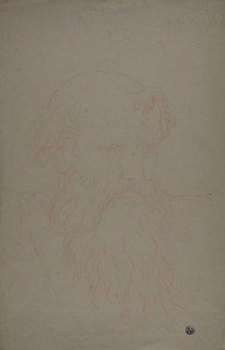 Head of a Bearded Man, 1700/1799, After Raffaello Sanzio, called Raphael, Italian, 1483-1520,