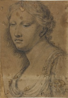 Bust of Woman, n.d., Attributed to Girolamo Sellari, called Girolamo da Carpi, Italian, 1501-1556,