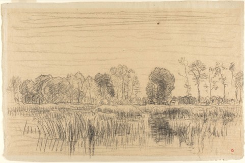 Marsh and Screen of Trees, n.d., Charles François Daubigny, French, 1817-1878, France, Black chalk