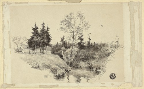 Brook in Forest, n.d., Unknown artist, possibly 19th century, Unknown Place, Pen and black ink on