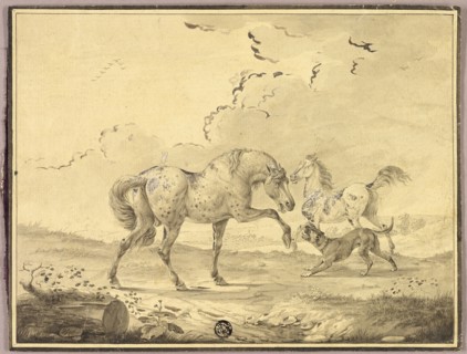 Two Horses Fighting Dog, n.d., Johann Georg Pforr, German, 1745-1798, Germany, Pen and gray ink,
