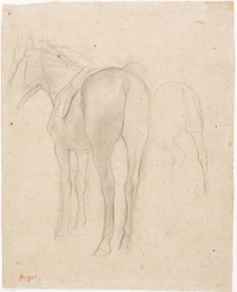 Studies of a Horse, 1868/75, Edgar Degas, French, 1834-1917, France, Graphite with stumping on tan