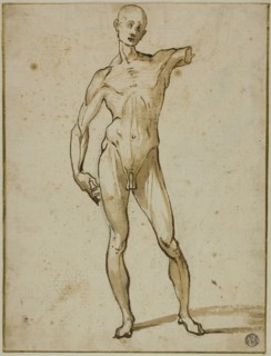 Flayed Man, 1600/25, Circle of Ludovico Cardi, called Il Cigoli, Italian, 1559-1613, Italy, Pen and