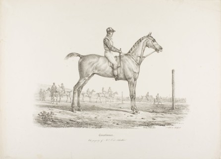 Constance, the Property of Mr. J.G. Schickler, c. 1820, Carle Vernet (French, 1758-1836), printed