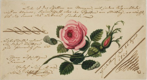 Untitled Valentine (Pink Flower), 1825, Unknown Artist, German, 19th century, Germany, Watercolor