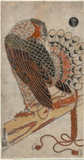 Sparrowhawk (Konori taka), c. 1716, Torii Kiyomasu I, Japanese, active c. 1704–18 (?), Japan,