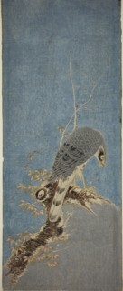 Falcon Perched on a Tree, c. 1785, Attributed to Isoda Koryusai, Japanese, 1735-1790, Japan,