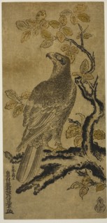A Hawk on a Kiri Tree, c. 1720/25, Okumura Masanobu, Japanese, 1686-1764, Japan, Hand-colored