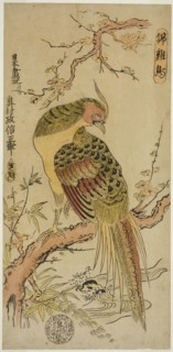 Golden Pheasant (Kinkeicho), c. 1720/25, Okumura Masanobu, Japanese, 1686-1764, Japan, Hand-colored