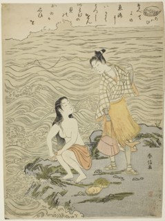 The Abalone (Awabi), from an untitled series of Shells, c. 1769, Suzuki Harunobu ?? ??, Japanese,