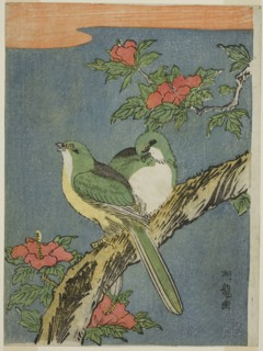 Two Birds on Hibiscus Tree, c. 1770, Isoda Koryusai, Japanese, 1735-1790, Japan, Color woodblock