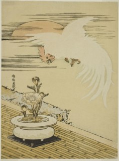 Cock Flying Over Pot of Adonis, c. 1770s, Isoda Koryusai, Japanese, 1735-1790, Japan, Color