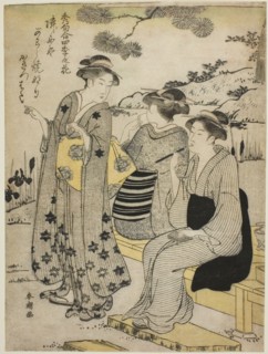 Rabbit-Ear Irises in Autumn, from the series Choicest Odes upon Flowers of the Four Seasons (Shuku