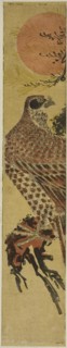 Falcon at Sunrise, c. 1775, Attributed to Isoda Koryusai, Japanese, 1735–1790, Japan, Color