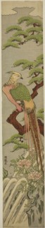 Golden Pheasant on a Pine Tree above Peonies and Waterfall, c. 1780, Isoda Koryusai, Japanese,