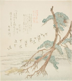 Pine Trees, from the series Tosa Diary for the Shofudai, Hisakataya, and Bunbunsha (Shofudai
