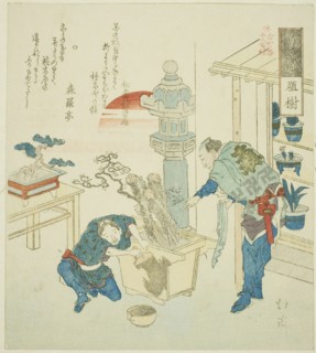 Potted Plant (Ueki), from the series Eighteen Illustrations of the Ladder of Ancient Words