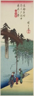 Wisteria in Full Bloom over the Pond at Kameido Shrine (Kameido ike chu fujibana no sakari), from