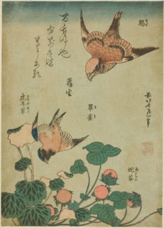 Bull-headed Shrike and Bluebird with Saxifrage and Wild Strawberry (Mozu, ruri, yukinoshita,