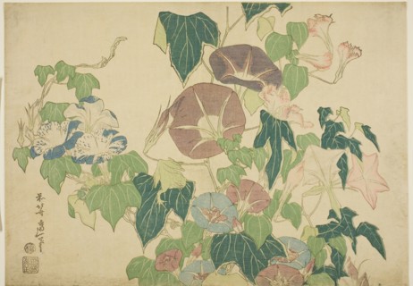 Morning Glories and Tree-frog, from an untitled series of Large Flowers, c. 1833/34, Katsushika