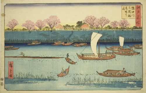 Cherry Trees along the Sumida River Embankment at the Mimeguri Inari Shrine (Sumidagawa Mimeguri