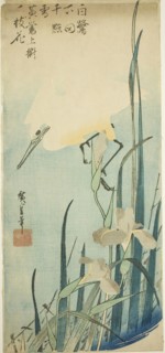 White heron and iris, c. 1832/34, Utagawa Hiroshige ?? ??, Japanese, 1797-1858, Japan, Color