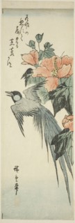 Long-tailed bird and hibiscus, 1830s–1840s, Utagawa Hiroshige ?? ??, Japanese, 1797-1858, Japan,