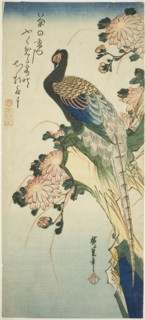 Pheasant and chrysanthemums, 1830s, Utagawa Hiroshige ?? ??, Japanese, 1797-1858, Japan, Color