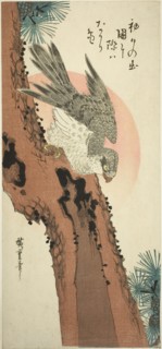 Falcon on a Pine Tree with the Rising Sun, c. 1835, Utagawa Hiroshige ?? ??, Japanese, 1797-1858,