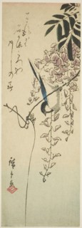 Bird on wisteria, n.d., Utagawa Hiroshige ?? ??, Japanese, 1797-1858, Japan, Color woodblock print,