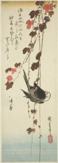 White-headed bird and ivy, mid–1830s, Utagawa Hiroshige ?? ??, Japanese, 1797-1858, Japan, Color