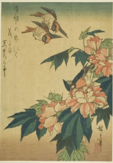 Swallows, kingfisher, and hibiscus, c. 1830s, Utagawa Hiroshige ?? ??, Japanese, 1797-1858, Japan,
