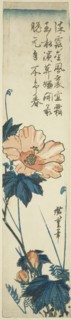 Hibiscus, 1830s, Utagawa Hiroshige ?? ??, Japanese, 1797-1858, Japan, Color woodblock print,