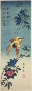 (Facsimile?) Black-naped oriole and clematis, 1840s, Utagawa Hiroshige ?? ??, Japanese, 1797-1858,