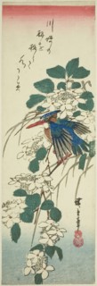 Kingfisher and viburnum, 1840s, Utagawa Hiroshige ?? ??, Japanese, 1797-1858, Japan, Color