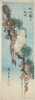 Falcon on ivy-covered pine branch, 1830s, Utagawa Hiroshige ?? ??, Japanese, 1797-1858, Japan,