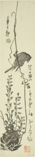 Canary and wisteria, mid–1840s, Utagawa Hiroshige ?? ??, Japanese, 1797-1858, Japan, Color