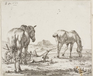 Two Horses by a Plough, 1657, Karel Dujardin, Dutch, c. 1622-1678, Holland, Etching on paper, 155 x