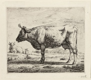 Two Cows and a Sheep, n.d., Adriaen van de Velde, Dutch, 1636-1672, Holland, Etching on ivory