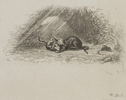 The Cedar of Lebanon, 1842, Charles François Daubigny, French, 1817-1878, France, Etching on white
