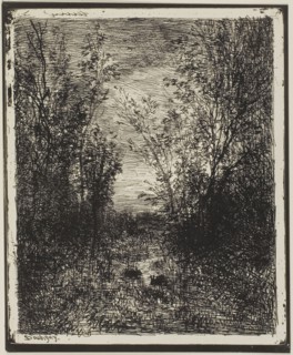 Brook in the Clearing, 1862, Charles François Daubigny, French, 1817-1878, France, Cliché-verre on