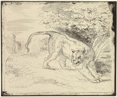 Tiger Ready to Spring, n.d., Eugène Delacroix, French, 1798-1863, France, Cliché verre on cream