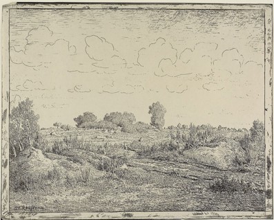Plain at Plante à Biau, 1862, Théodore Rousseau, French, 1812-1867, France, Cliché-verre on cream