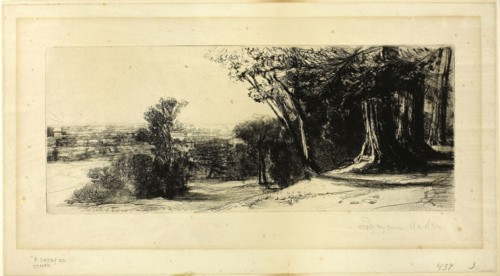 Early Morning, Richmond Park, 1859, Francis Seymour Haden, English, 1818-1910, England, Etching and